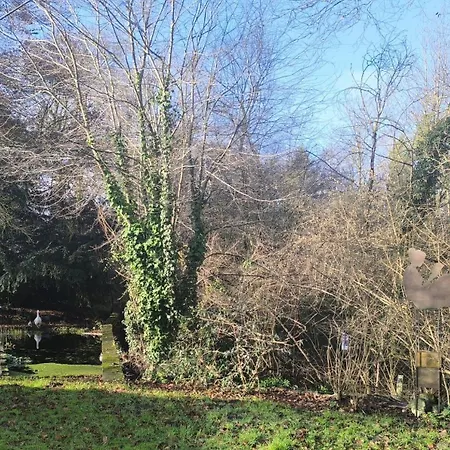 Appartamento Studio De Charme Au Coeur De La Foret *