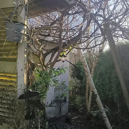 Appartamento Studio De Charme Au Coeur De La Foret *