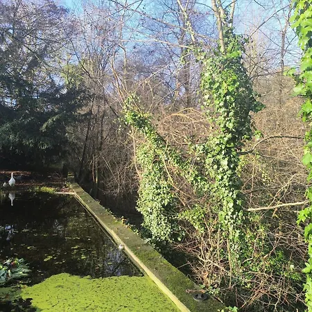 Studio De Charme Au Coeur De La Foret *